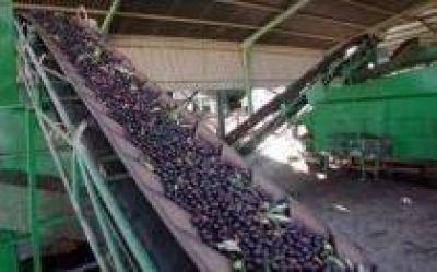 Hubo m�s de una veintena de internados Ahora, la Comuna pedir�a el traslado de la empresa aceitera Inagro