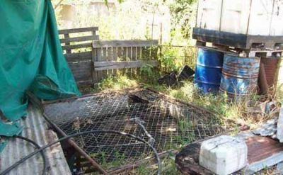 Contin�a la campa�a de prevenci�n contra el Dengue