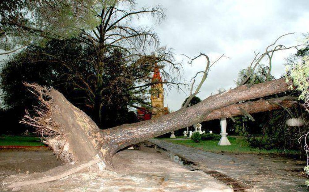 Tornquist castigado por un temporal