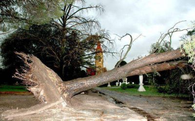 Tornquist castigado por un temporal