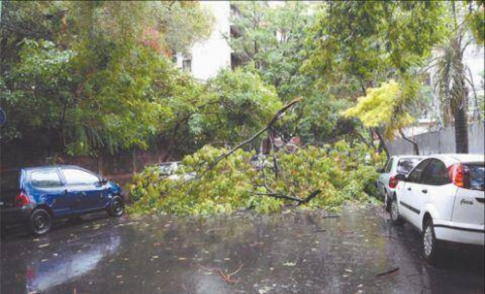 �La periferia de la ciudad sufri� las peores consecuencias del temporal�