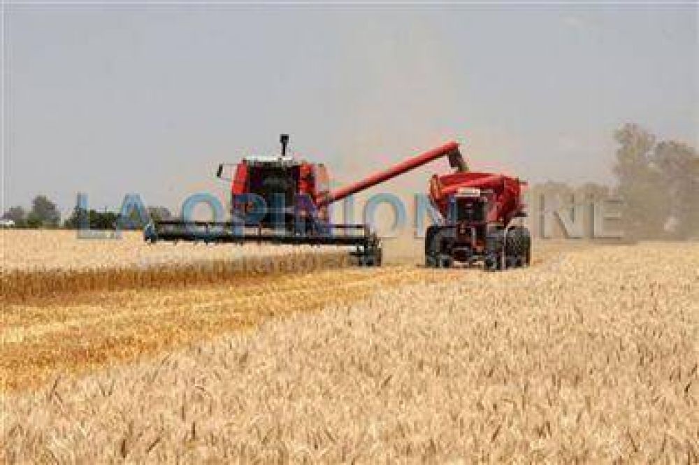 El paro del campo comenz� con alto acatamiento nacional