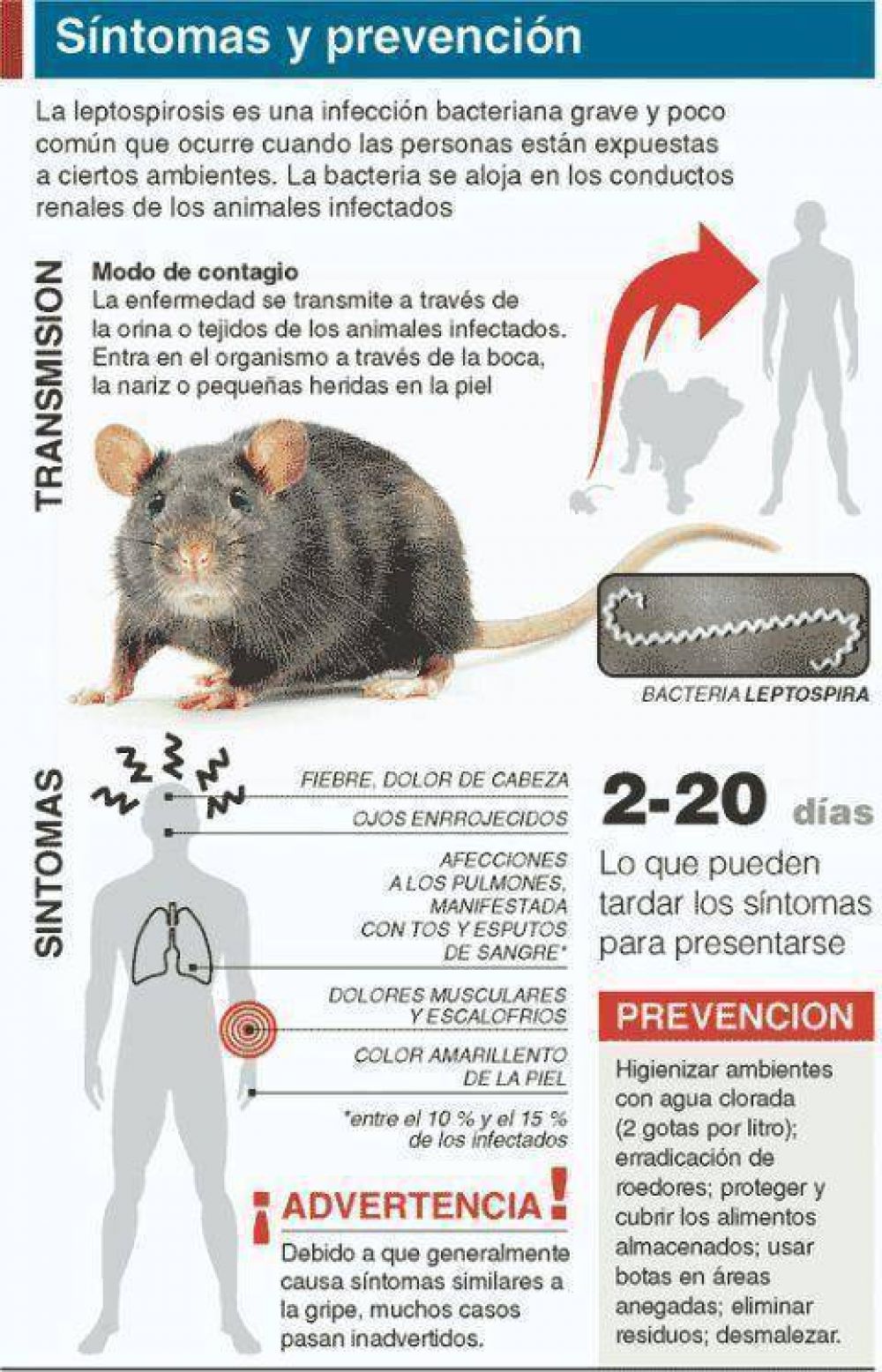 La transmiten roedores y perros Conmoci�n en Ensenada por caso fatal de leptospirosis 
