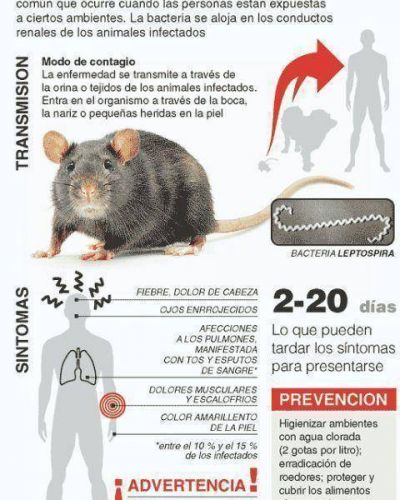 La transmiten roedores y perros Conmoci�n en Ensenada por caso fatal de leptospirosis 