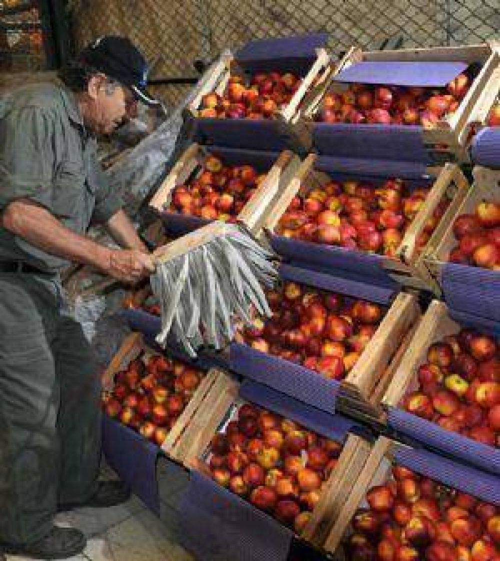 Productores e industriales de pera y manzana gestionan m�s reintegros