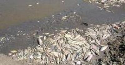 Mientras la vida en la cuenca Sal�-Dulce desaparece, Alperovich pide �tratar de no contaminar�