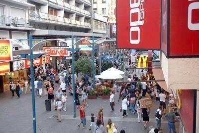 Dos empresas se presentaron para la remodelaci�n de la peatonal