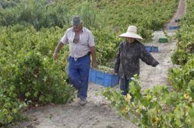 Paritarias vitivin�colas en suspenso, con cuarto intermedio hasta febrero