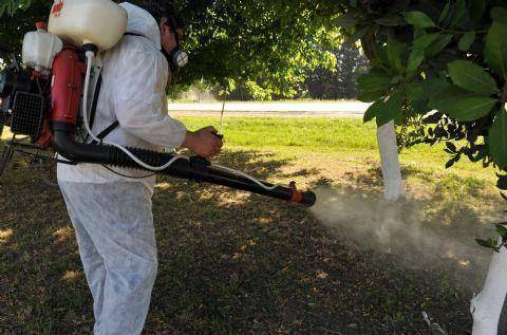 Contin�a la campa�a de fumigaci�n en plazas y parque de la ciudad