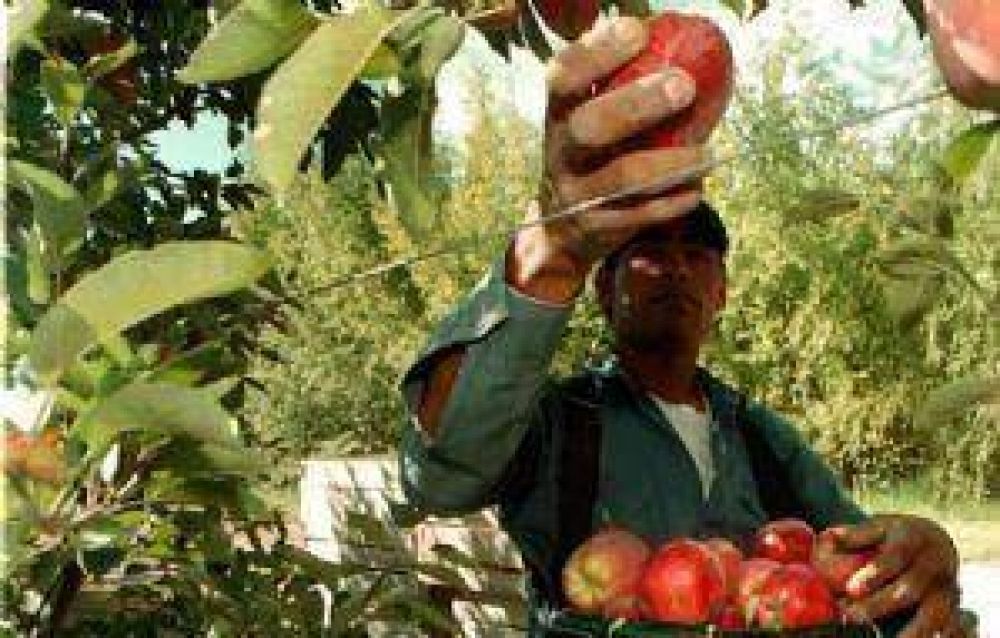 Cr�ditos a tasa 0 para cosechar manzanas y peras de exportaci�n