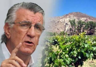 Por presi�n de Gioja, se reducir�a el porcentaje de 30% de uva para el mosto