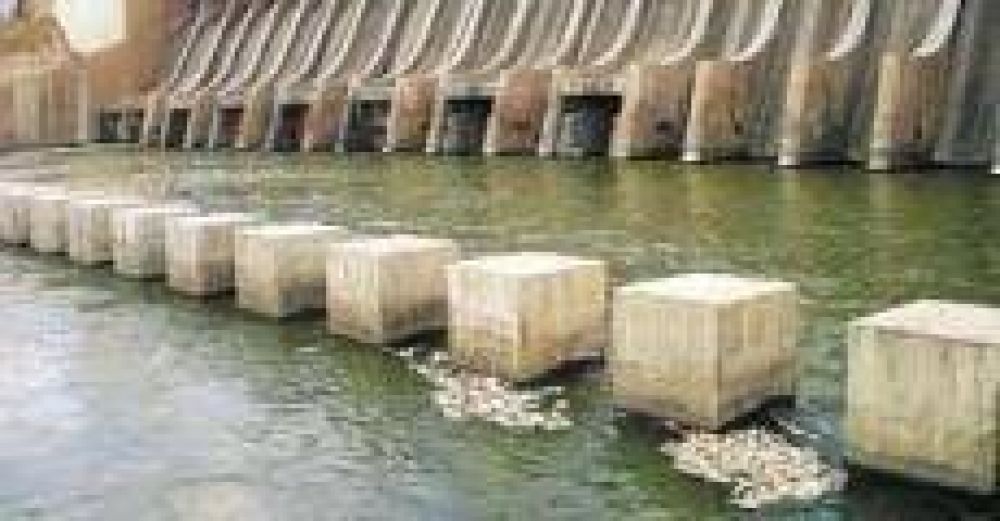 En el Gobierno insisten con que la situaci�n de los r�os y el embalse est� �dentro de los par�metros normales� 