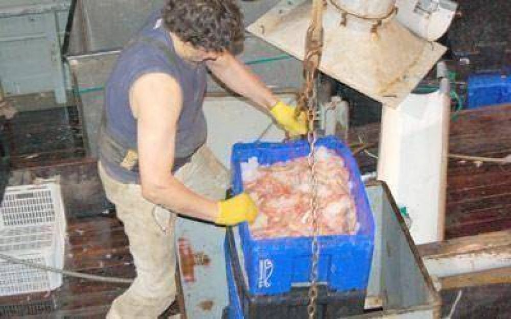 El viernes se iniciar� la prospecci�n de langostino en mares patag�nicos