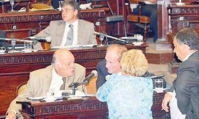 Senado: los radicales presentar�n un presupuesto 2011 alternativo
