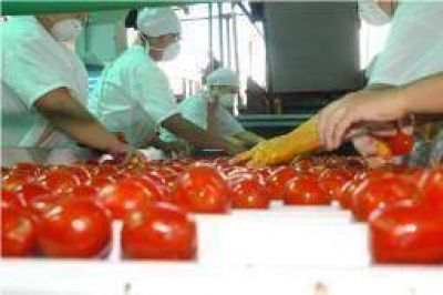 La estatal Agroandina exportar� pimiento rojo congelado a Europa