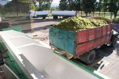 Preocupaci�n por el precio de la uva