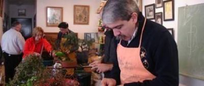 Los bons�i de An�bal F. dieron sus frutos