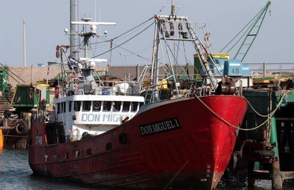 Mar del Plata concentr� en enero el 75% de los desembarques de Merluza hubbsi
