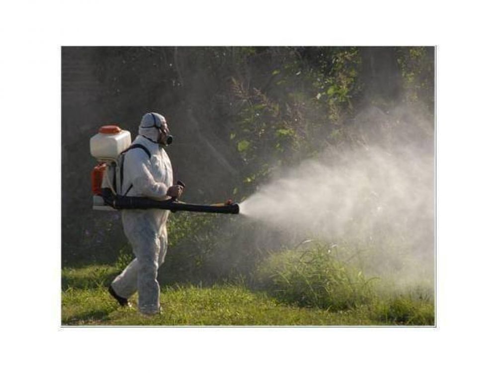 Prometen intensificar las tareas de fumigaci�n