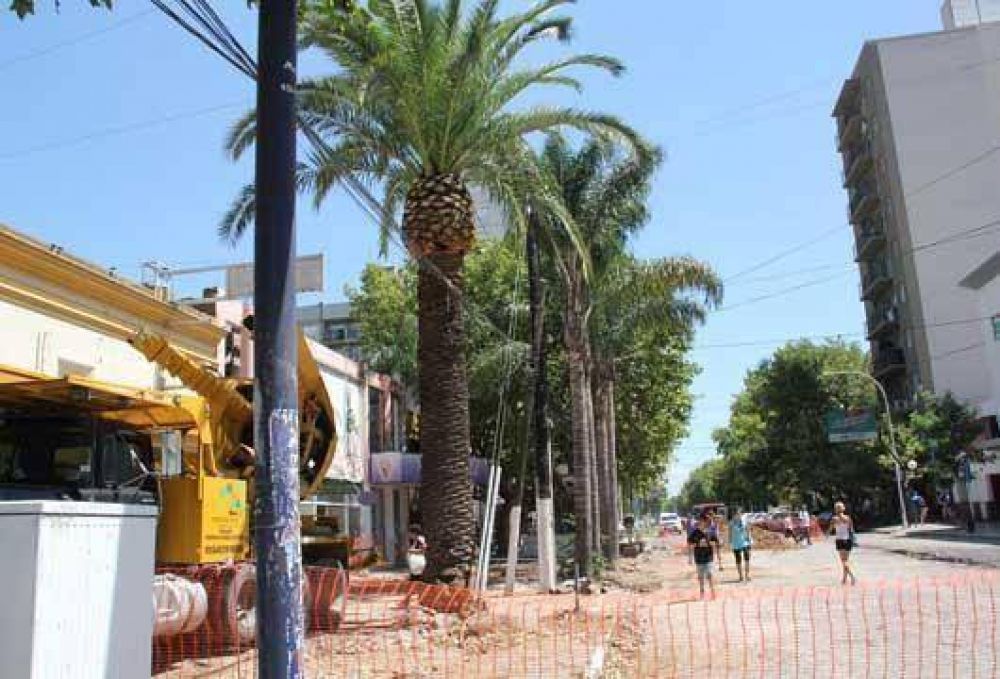 En San Miguel, el centro toma forma
