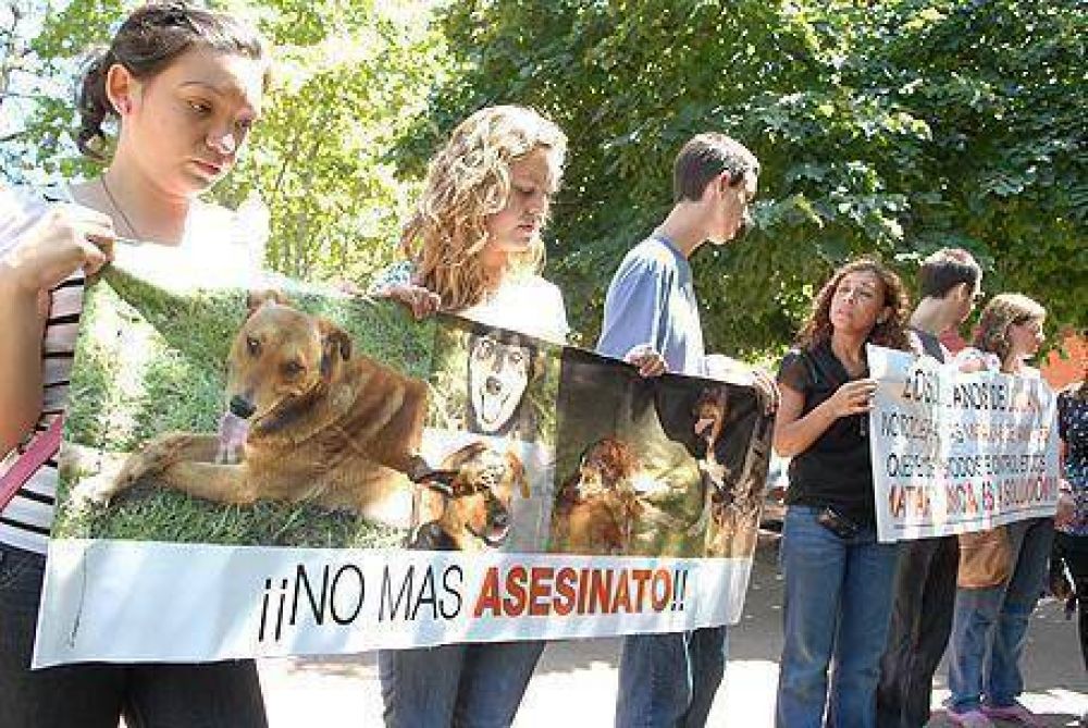 �En Luj�n, hay cinco animales por cuatro habitantes�