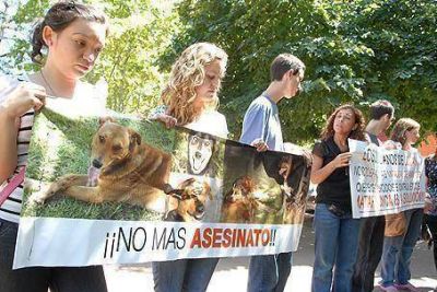 �En Luj�n, hay cinco animales por cuatro habitantes�