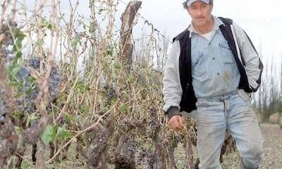 Lo que la tormenta dej�: evacuados, p�rdida de cultivos, tensi�n y demoras