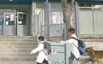 ATECh central cuestiona la decisi�n de zona sur: �una regional no puede llamar al paro�