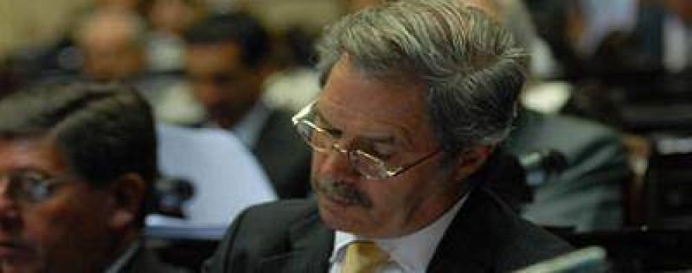 Sol� le respondi� a Scioli: "se le escap� la torgura" con el delito