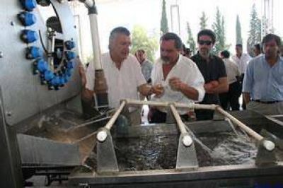 Valor agregado y trabajo: M�s de $6 millones en proyecto pistachero 