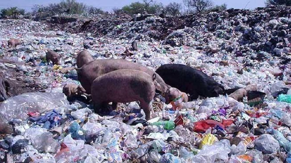 Sin plan para solucionar el problema de la basura