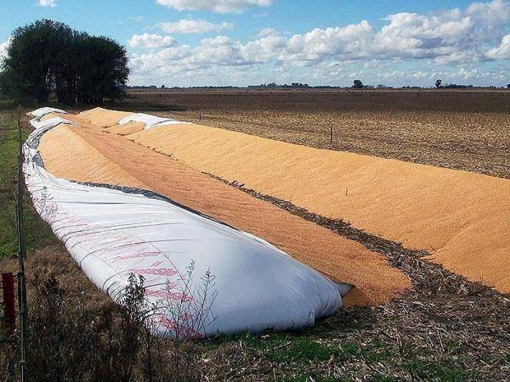 Afirman que el aporte tributario del campo es cercano al 44 por ciento