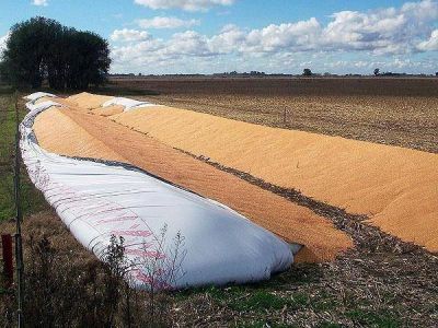 Afirman que el aporte tributario del campo es cercano al 44 por ciento