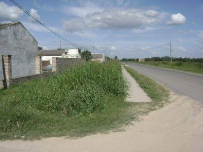 Vereda dif�cil : Las malezas avanzan en el barrio de �los intendentes�