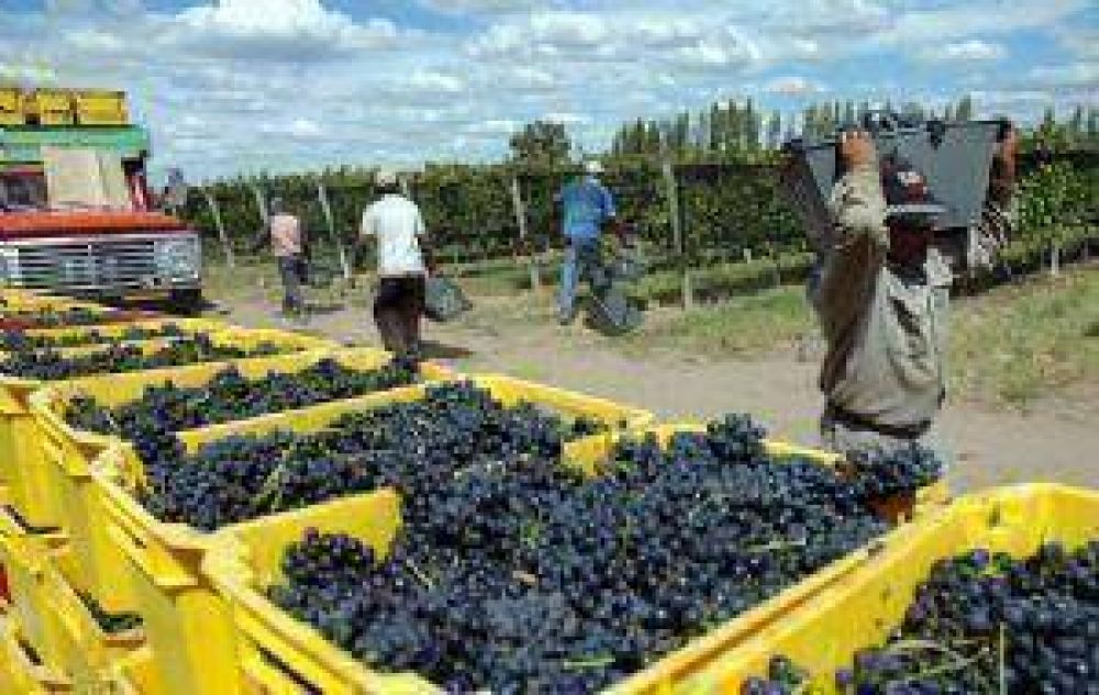 En La Rioja tambi�n falta gente para levantar la cosecha