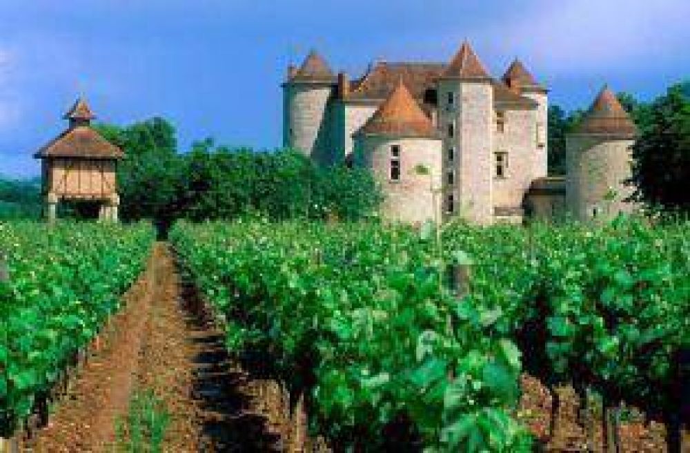 Francia viene por el malbec de Luj�n