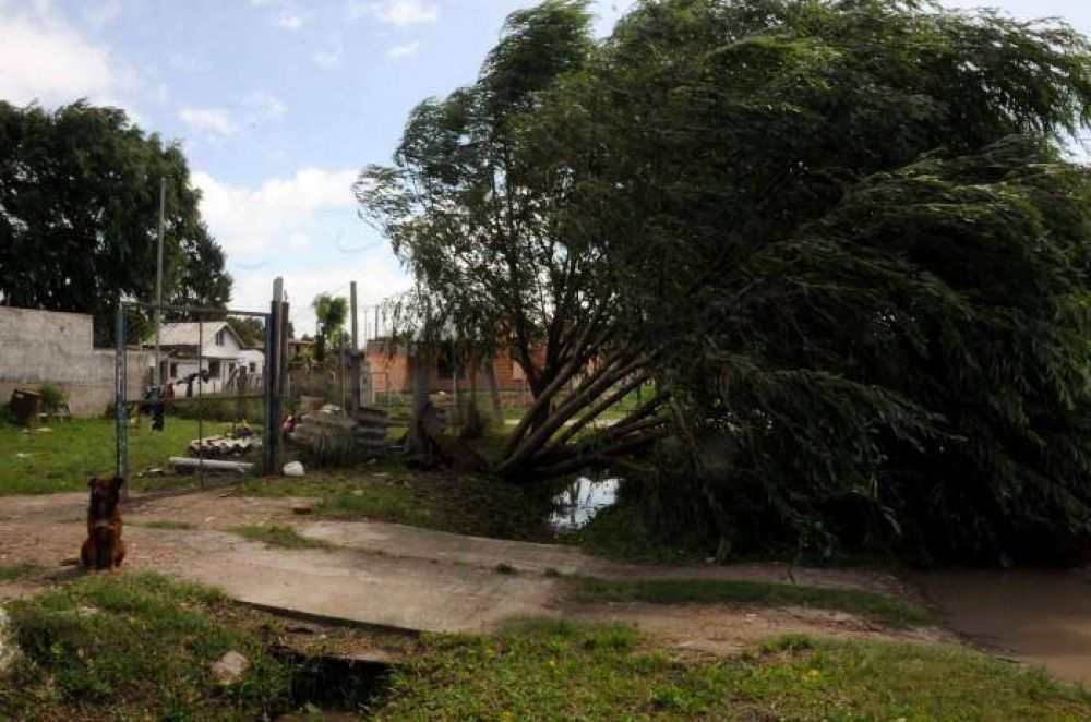 Un fuerte temporal provoc� destrozos en la ciudad