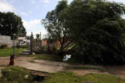 Un fuerte temporal provoc� destrozos en la ciudad