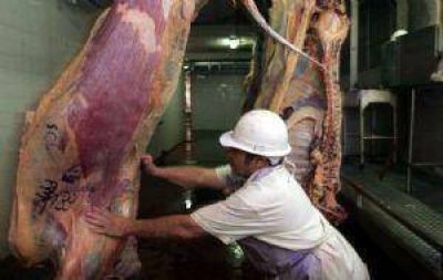 Carne: cay� 50% la faena en Mendoza y hay frigor�ficos a punto de cerrar