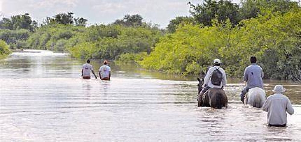 Manzur y Zamora recorrer�n las zonas inundadas por los desbordes del Salado