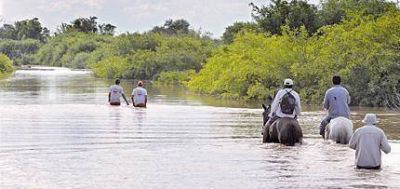 Manzur y Zamora recorrer�n las zonas inundadas por los desbordes del Salado