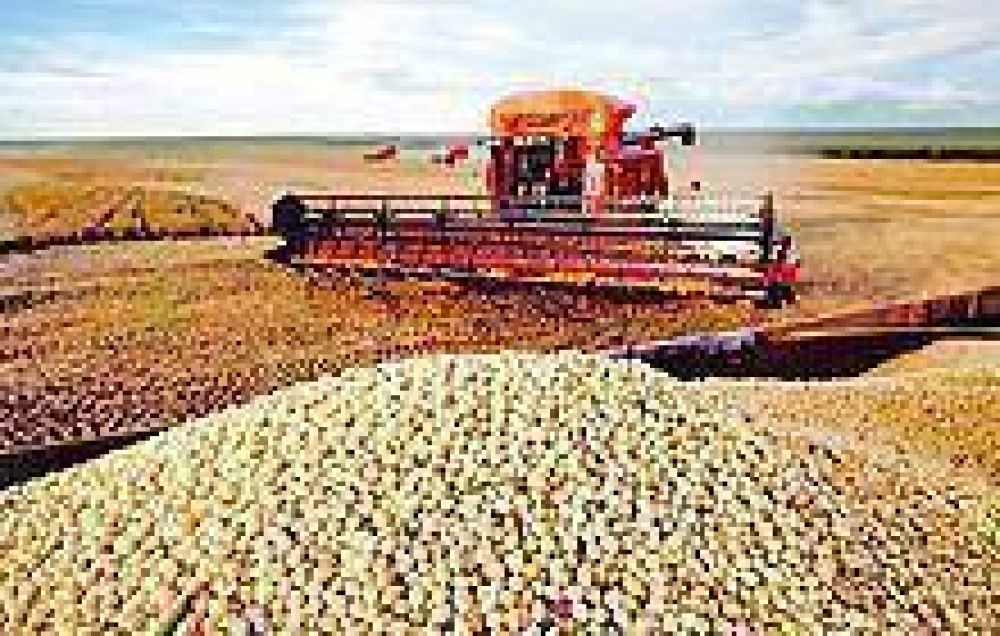 Preocupa escasez de gasoil para cosechar un mill�n de hect�reas en Santiago 
