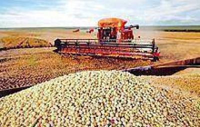 Preocupa escasez de gasoil para cosechar un mill�n de hect�reas en Santiago 