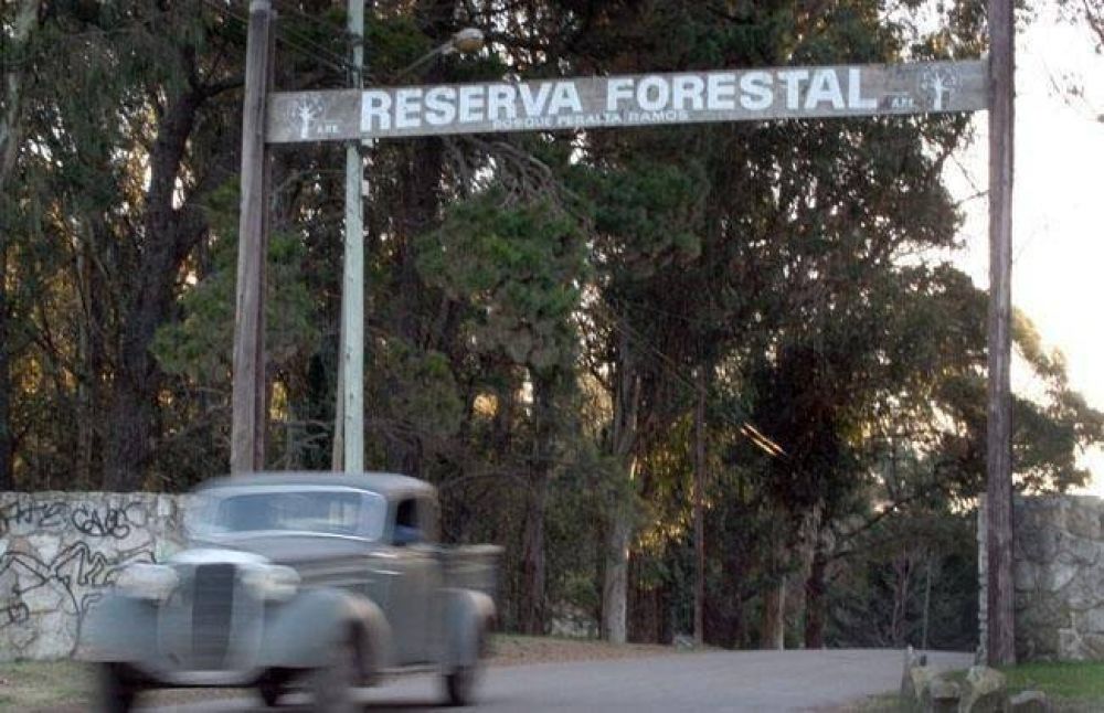 Trabajos en calles del bosque Peralta Ramos
