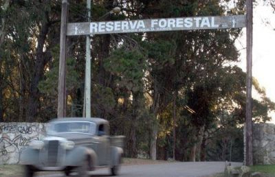Trabajos en calles del bosque Peralta Ramos