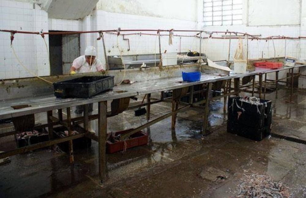 Clausuran planta procesadora de pescado
