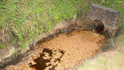 Denuncian al ingenio Santa B�rbara por contaminar el cauce del r�o Chico
