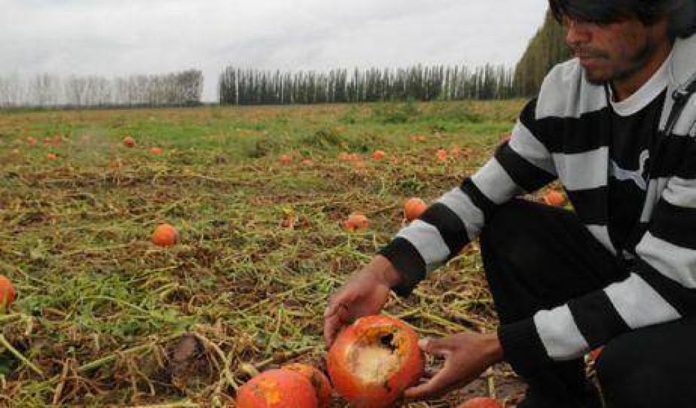La Plata, Berazategui, Florencio Varela y Berisso, en emergencia agropecuaria 