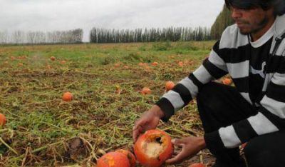 La Plata, Berazategui, Florencio Varela y Berisso, en emergencia agropecuaria 
