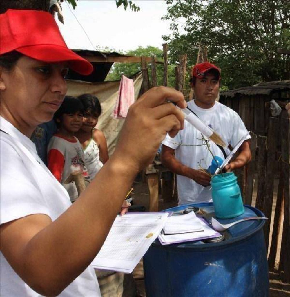 Ya son m�s de 80 los casos confirmados de dengue en la provincia
